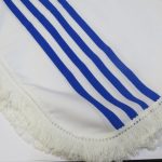 Lote: 108 - Lote: 108 - Poncho nacionalista