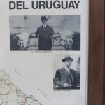 Lote: 100 - Lote: 100 - Mapa de Uruguay