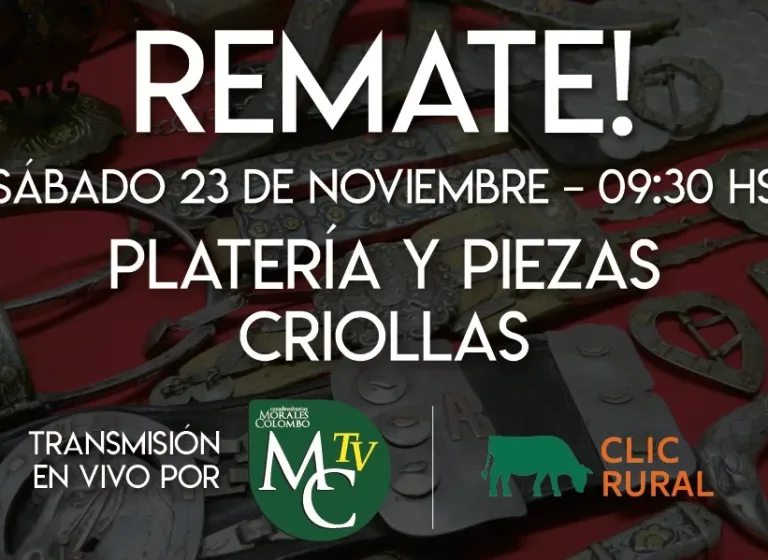 Remate Sábado 23 de Nov. 2024