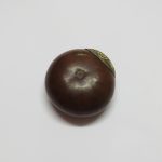 Lote: 65 - Lote: 65 - Mate galleta