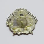 Lote: 99 - Lote: 99 - Escudo de armas