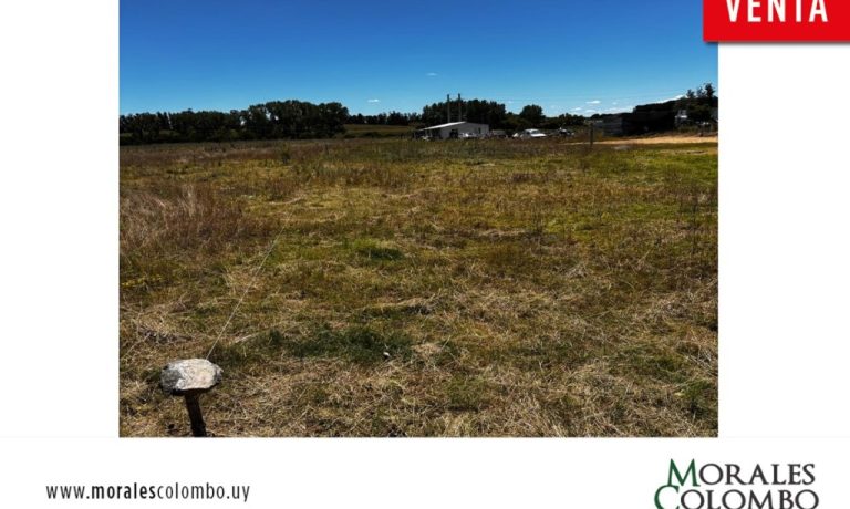 Terreno 600 mts2 – 25 de Mayo Florida