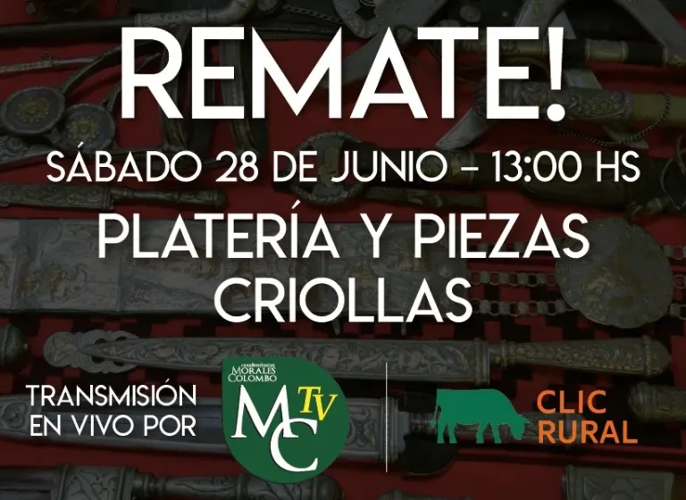 Remate Sábado 28 de Junio 2025