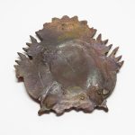 Lote: 16 - Lote: 16 - Escudo en bronce