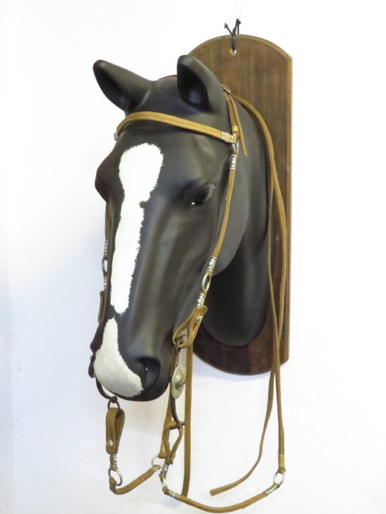 Lote: 284 - Lote: 284 - Cabezada, riendas y freno