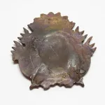 Lote: 172 - Lote: 172 - Escudo en bronce