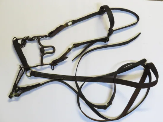 Lote: 251 - Lote: 251 - Cabezada, freno y riendas