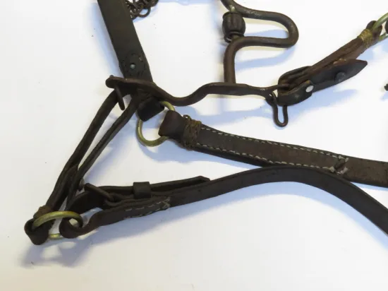 https://www.moralescolombo.uy/wp-content/uploads/2025/11/foto-i13359f4-20250612002210121-550x412.webp Lote: 251 - Lote: 251 - Cabezada, freno y riendas