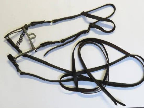 Lote: 252 - Lote: 252 - Cabezada, freno y riendas