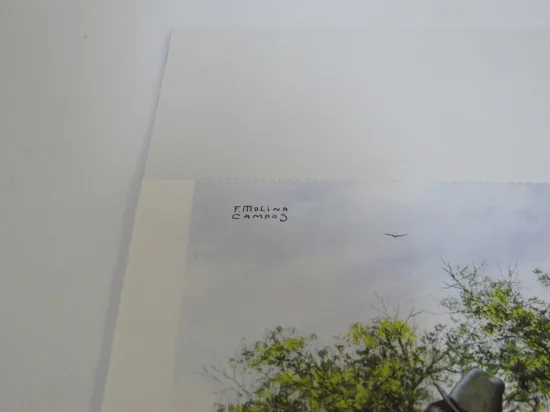 Lote: 15 - Lote: 15 - Alanaque 