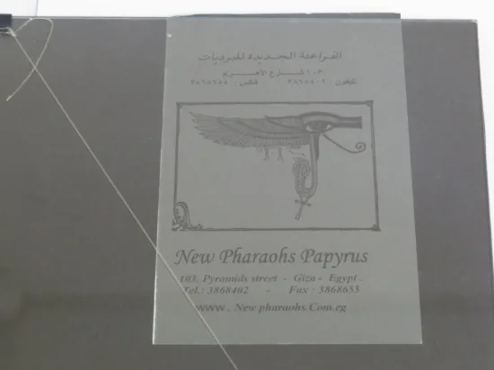 Lote: 16 - Lote: 16 - Papiro