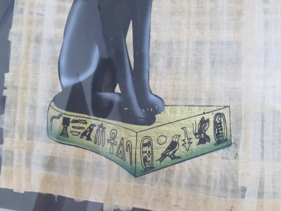 Lote: 17 - Lote: 17 - Papiros