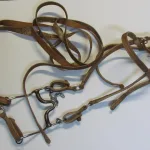 Lote: 258 - Lote: 258 - Cabezada, riendas y freno