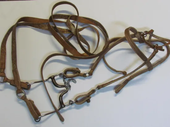 Lote: 258 - Lote: 258 - Cabezada, riendas y freno