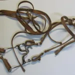 Lote: 258 - Lote: 258 - Cabezada, riendas y freno