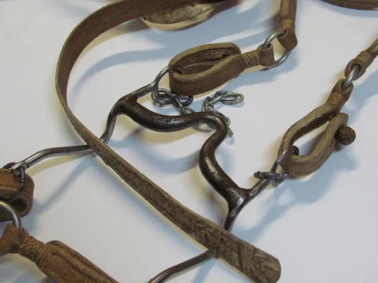 Lote: 258 - Lote: 258 - Cabezada, riendas y freno