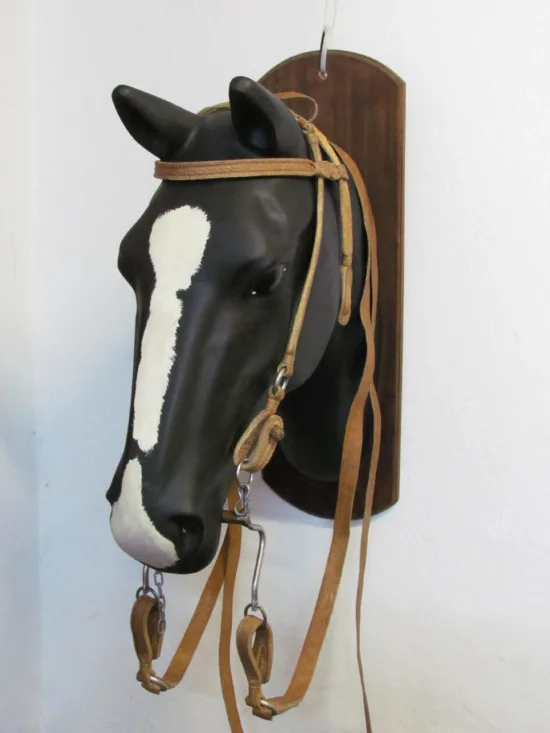 Lote: 258 - Lote: 258 - Cabezada, riendas y freno