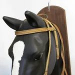 Lote: 258 - Lote: 258 - Cabezada, riendas y freno