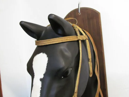 Lote: 258 - Lote: 258 - Cabezada, riendas y freno