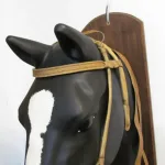 Lote: 258 - Lote: 258 - Cabezada, riendas y freno