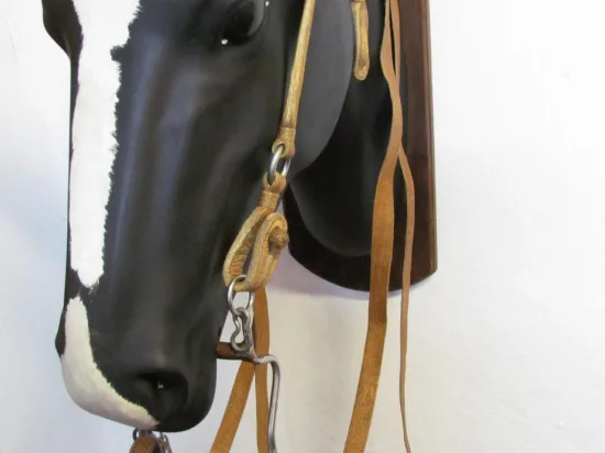 Lote: 258 - Lote: 258 - Cabezada, riendas y freno