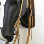 Lote: 258 - Lote: 258 - Cabezada, riendas y freno