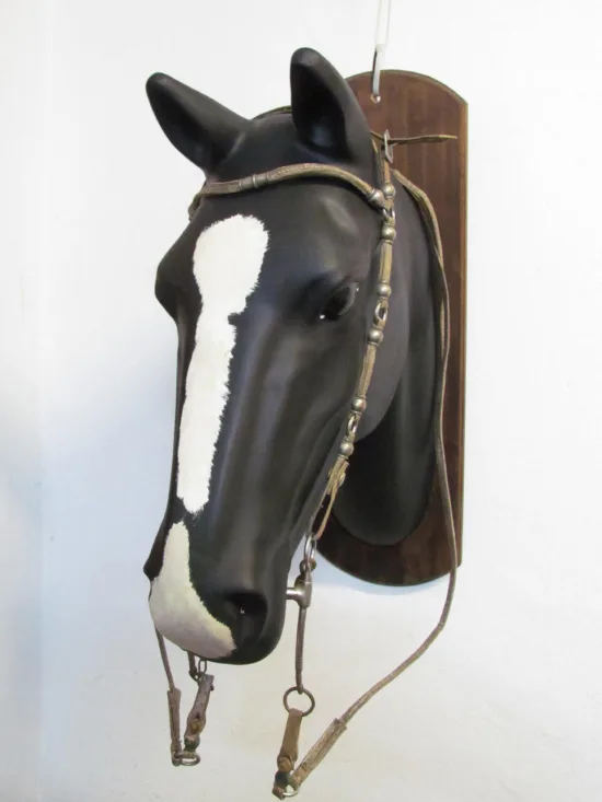 Lote: 253 - Lote: 253 - Cabezada, riendas y freno