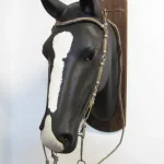 Lote: 253 - Lote: 253 - Cabezada, riendas y freno