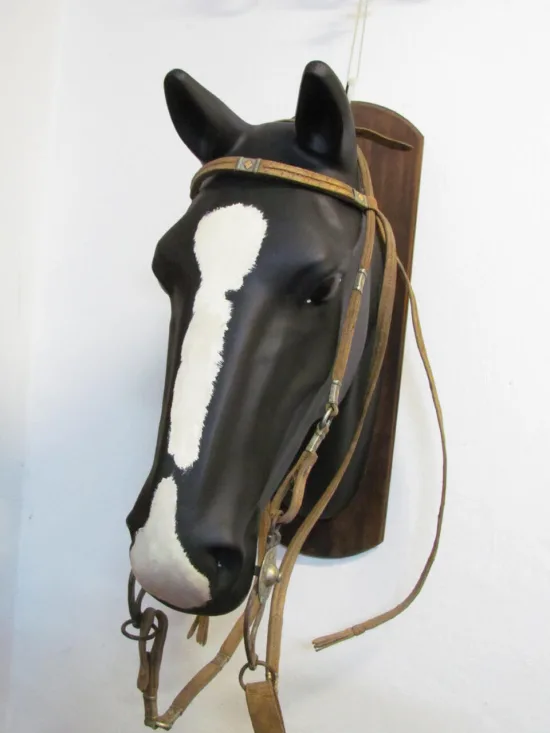 Lote: 254 - Lote: 254 - Cabezada, riendas y freno