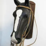 Lote: 254 - Lote: 254 - Cabezada, riendas y freno