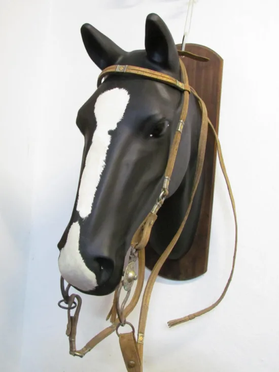 https://www.moralescolombo.uy/wp-content/uploads/2025/11/foto-i14339f2-20251120092156044-550x733.webp Lote: 254 - Lote: 254 - Cabezada, riendas y freno