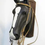 Lote: 254 - Lote: 254 - Cabezada, riendas y freno