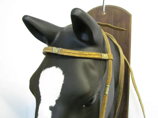 https://www.moralescolombo.uy/wp-content/uploads/2025/11/foto-i14339f3-20251120092157146-550x412.webp Lote: 254 - Lote: 254 - Cabezada, riendas y freno