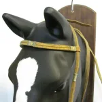 Lote: 254 - Lote: 254 - Cabezada, riendas y freno