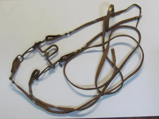https://www.moralescolombo.uy/wp-content/uploads/2025/11/foto-i14339f4-20251120092158264-550x412.webp Lote: 254 - Lote: 254 - Cabezada, riendas y freno