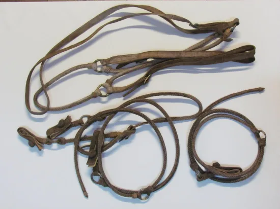 Lote: 250 - Lote: 250 - Cabezada, rienda y pechera