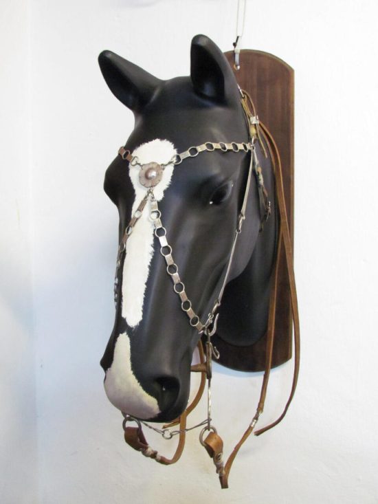 Lote: 259 - Lote: 259 - Cabezada, riendas y freno