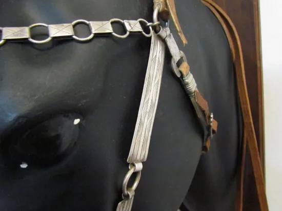 Lote: 259 - Lote: 259 - Cabezada, riendas y freno