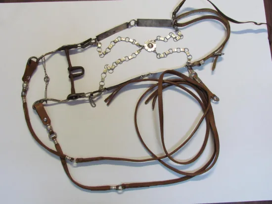 Lote: 259 - Lote: 259 - Cabezada, riendas y freno