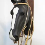 Lote: 256 - Lote: 256 - Cabezada, riendas,pechera  y freno