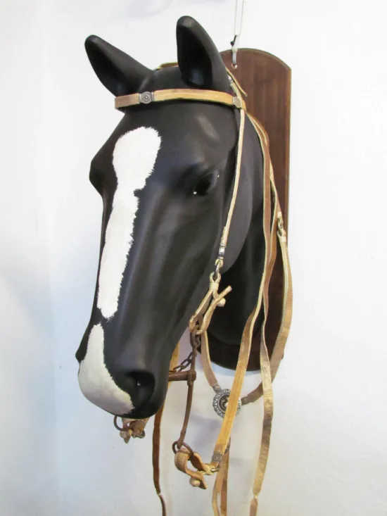 Lote: 256 - Lote: 256 - Cabezada, riendas,pechera  y freno