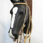 Lote: 256 - Lote: 256 - Cabezada, riendas,pechera  y freno