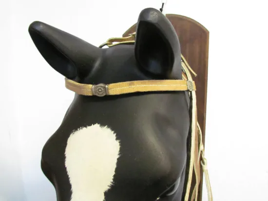 Lote: 256 - Lote: 256 - Cabezada, riendas,pechera  y freno