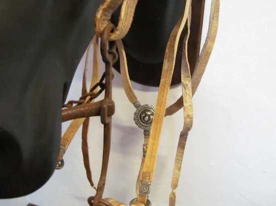 Lote: 256 - Lote: 256 - Cabezada, riendas,pechera  y freno