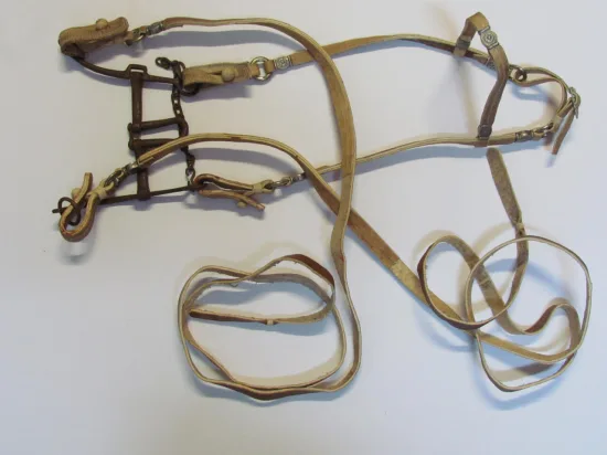 Lote: 256 - Lote: 256 - Cabezada, riendas,pechera  y freno