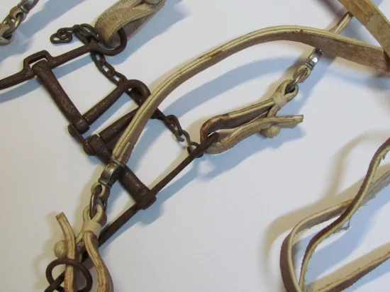 Lote: 256 - Lote: 256 - Cabezada, riendas,pechera  y freno