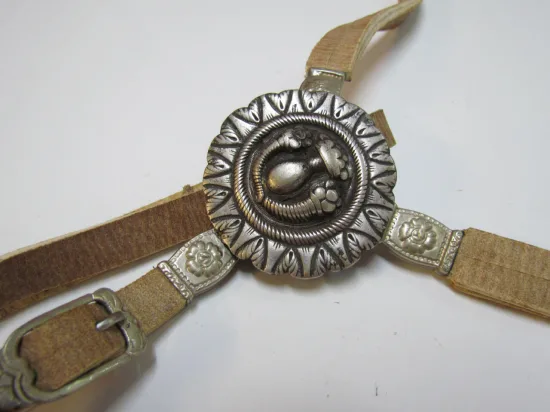 Lote: 256 - Lote: 256 - Cabezada, riendas,pechera  y freno