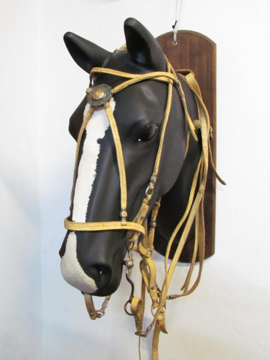 Lote: 260 - Lote: 260 - Preparo completo
