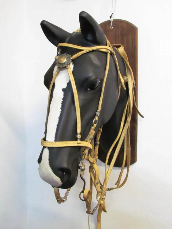 Lote: 260 - Lote: 260 - Preparo completo