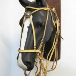 Lote: 260 - Lote: 260 - Preparo completo